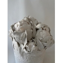 Pivoines d'hiver