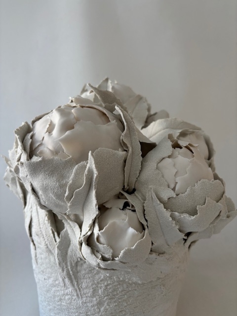 Pivoines d'hiver