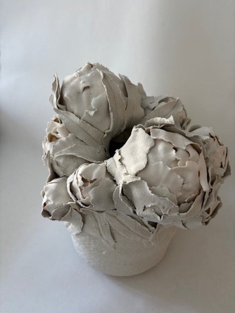 Pivoines d'hiver