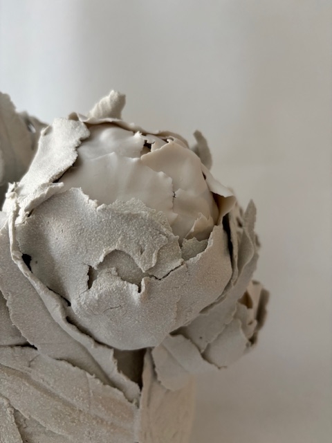 Pivoines d'hiver