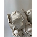 Pivoines d'hiver