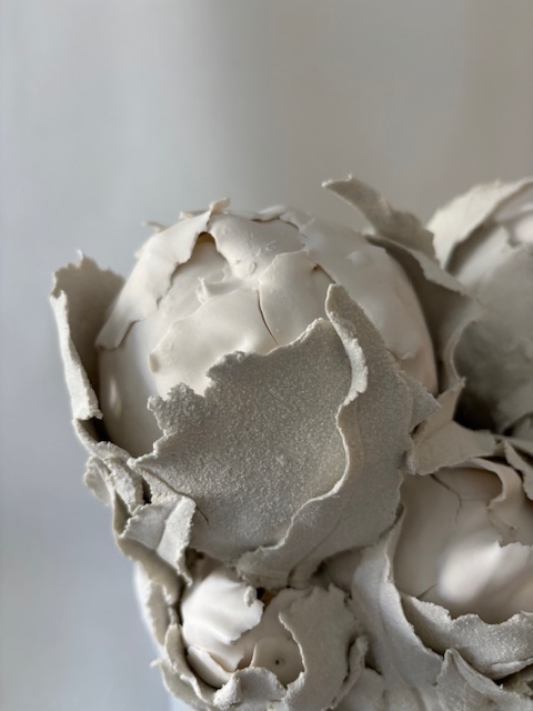 Pivoines d'hiver