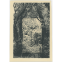 Orée