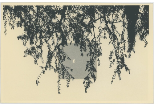 Eloge de l'ombre