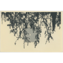Eloge de l'ombre