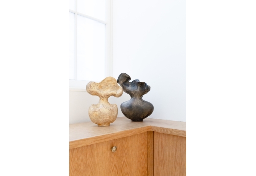 Wild Garden - Clouds, seeds, petals