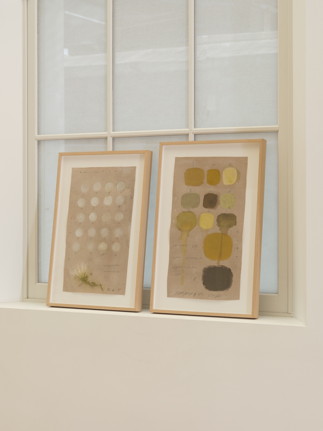 Language of the Birds 7