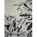 Untitled (240202)