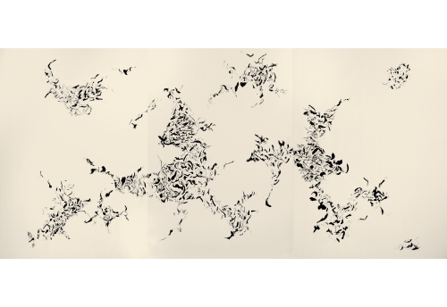 Untitled (240202)