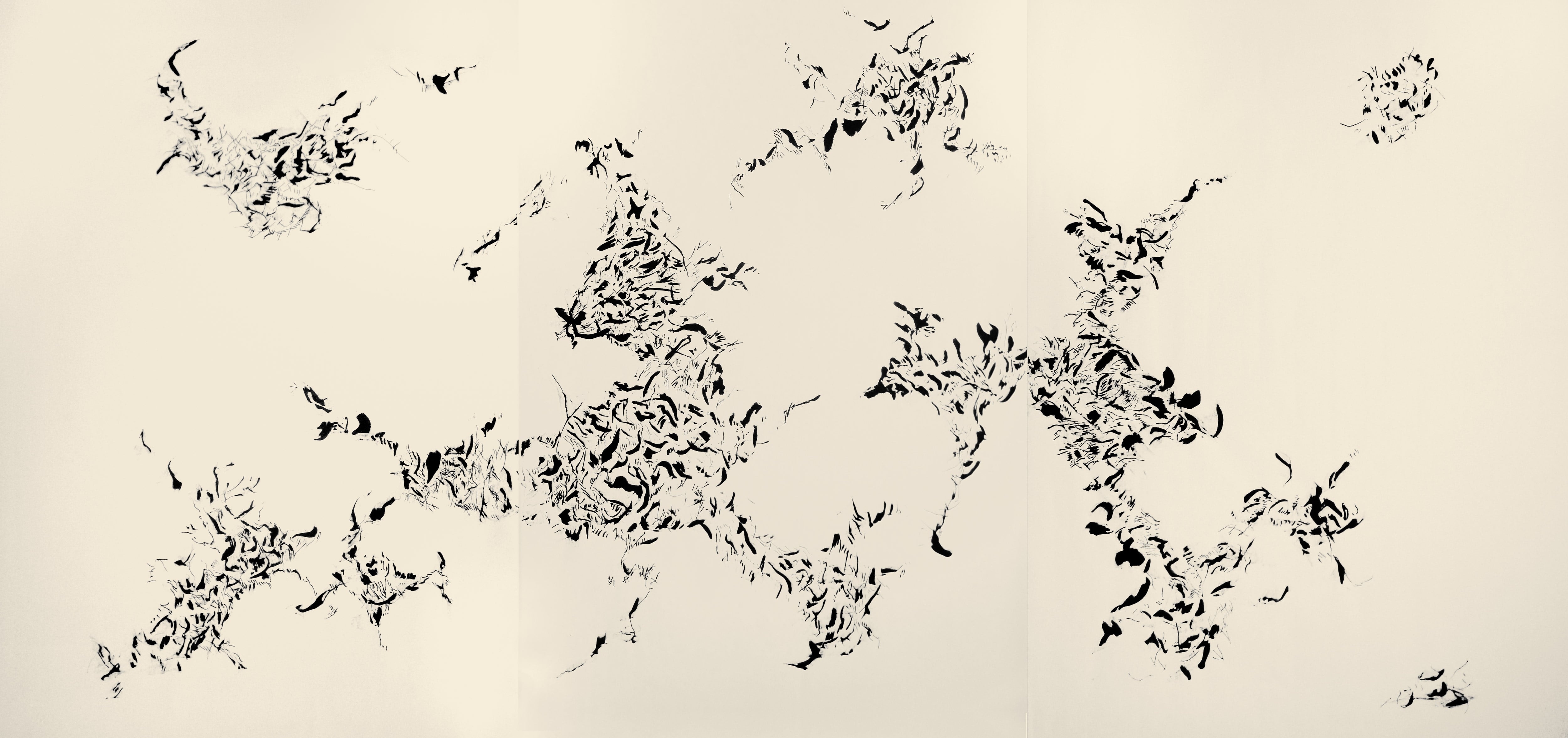 Untitled (240202)