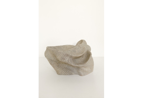 Coupe grande vasque grise