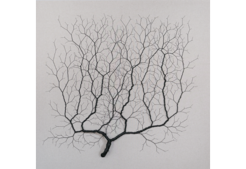Ciclotrama 247 (After Santiago Ramón y Cajal)