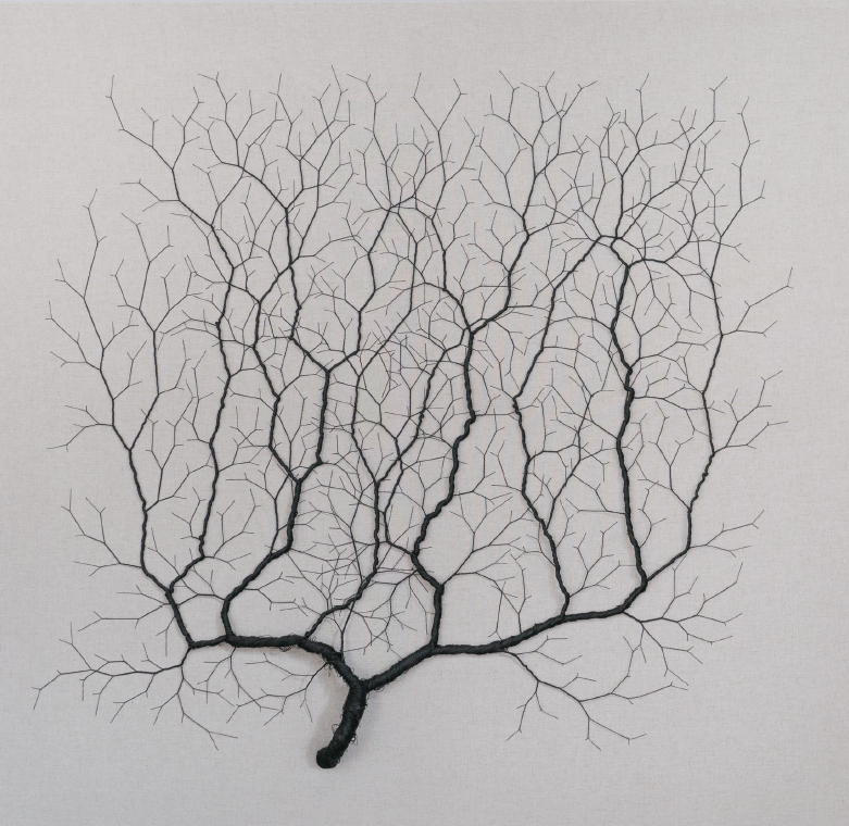 Ciclotrama 247 (After Santiago Ramón y Cajal)