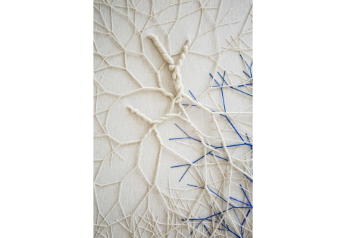 Ciclotrama 293 (Immanence)