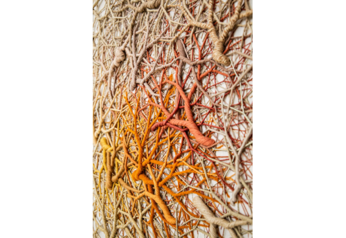 Ciclotrama 334 (Cluster)