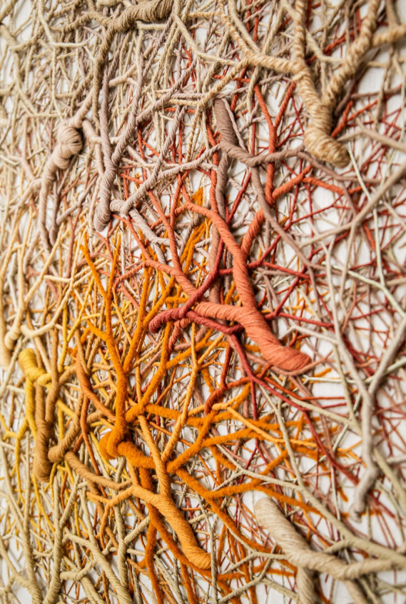 Ciclotrama 334 (Cluster)