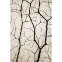 Ciclotrama 247 (After Santiago Ramón y Cajal)