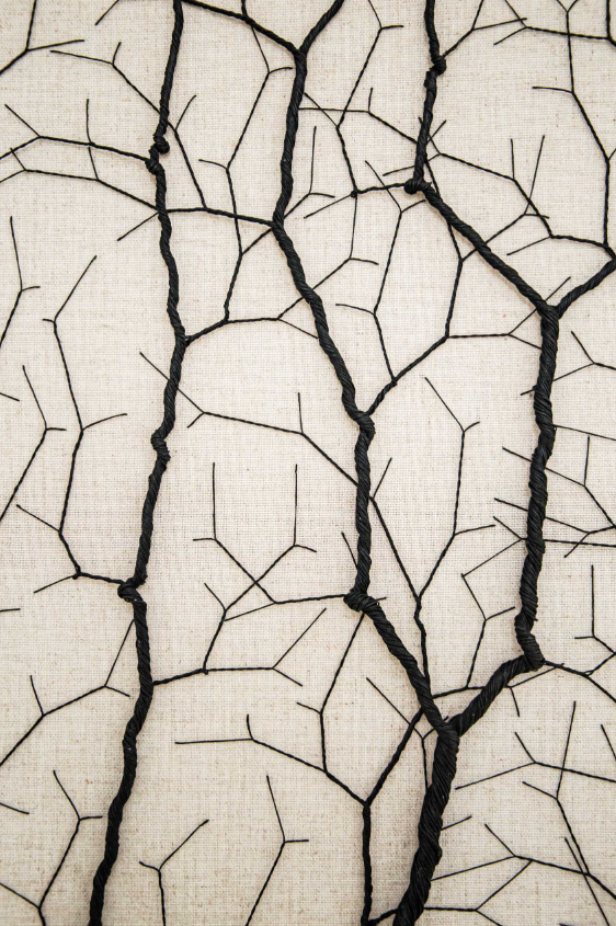 Ciclotrama 247 (After Santiago Ramón y Cajal)