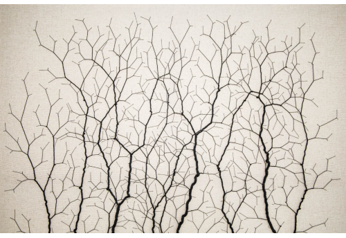 Ciclotrama 247 (After Santiago Ramón y Cajal)