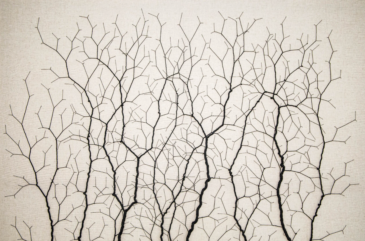 Ciclotrama 247 (After Santiago Ramón y Cajal)