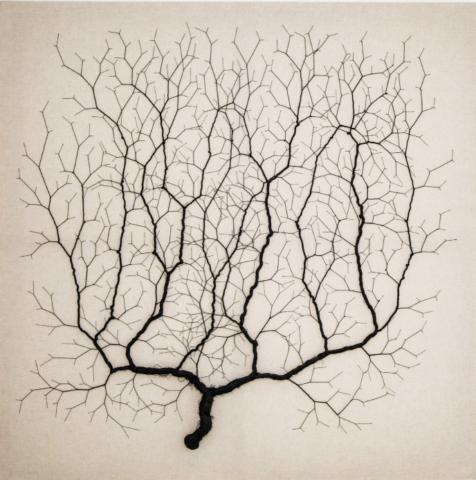 Ciclotrama 247 (After Santiago Ramón y Cajal)