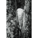 Amongst Herselves (something concrete, capable of letting itself to be broken)