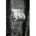 Amongst Herselves (something concrete, capable of letting itself to be broken)