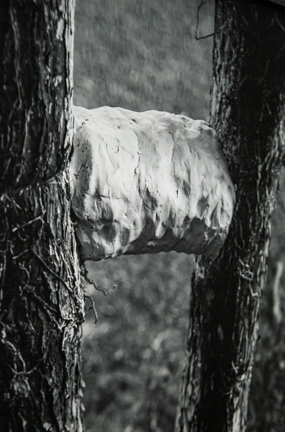 Amongst Herselves (something concrete, capable of letting itself to be broken)