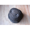 Head 2