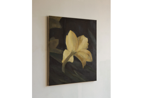 White Iris, a flower of hope