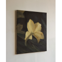 White Iris, a flower of hope