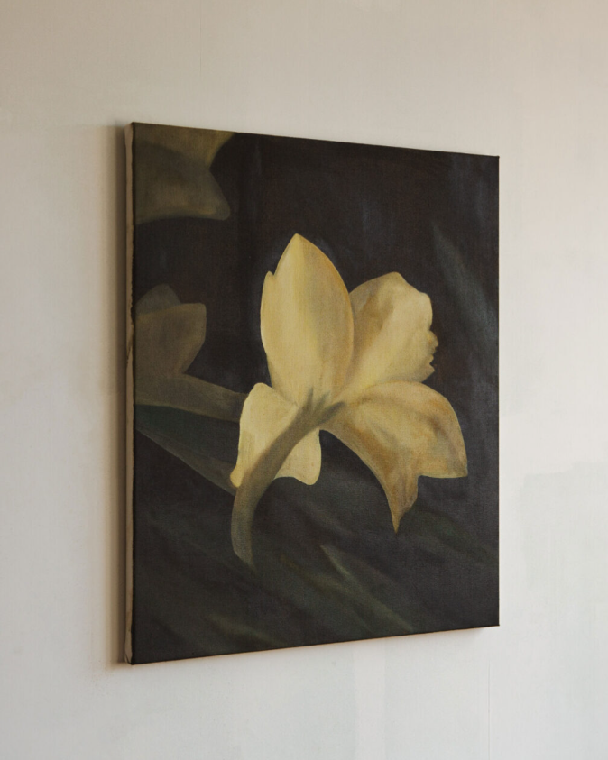 White Iris, a flower of hope