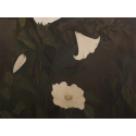 Hidden in Daylight 2