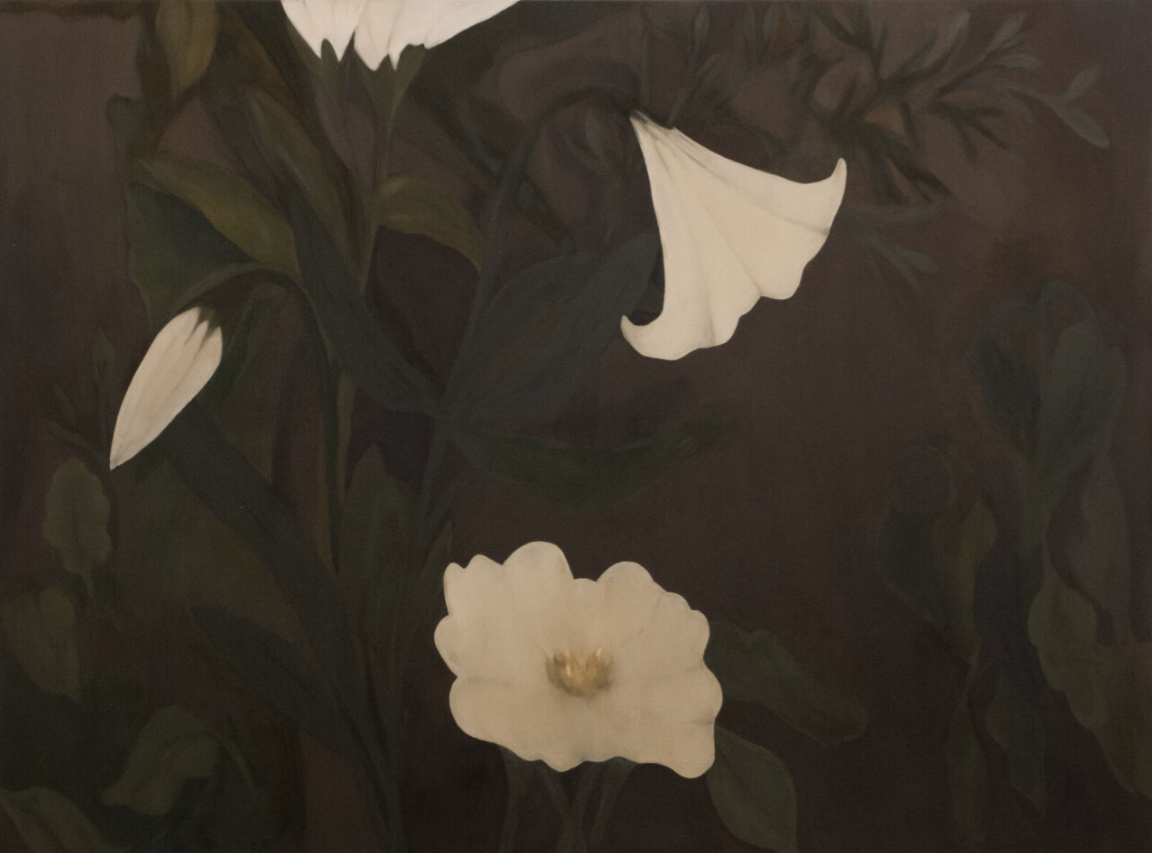 Hidden in Daylight 2