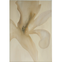 Silent Flower