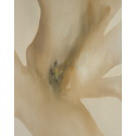 Silent Flower