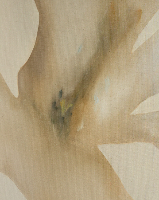 Silent Flower