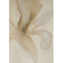 Silent Flower