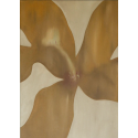 Honey Flower