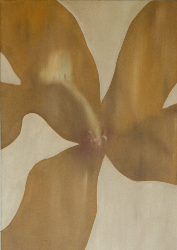 Honey Flower