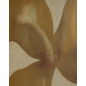 Honey Flower