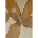 Honey Flower
