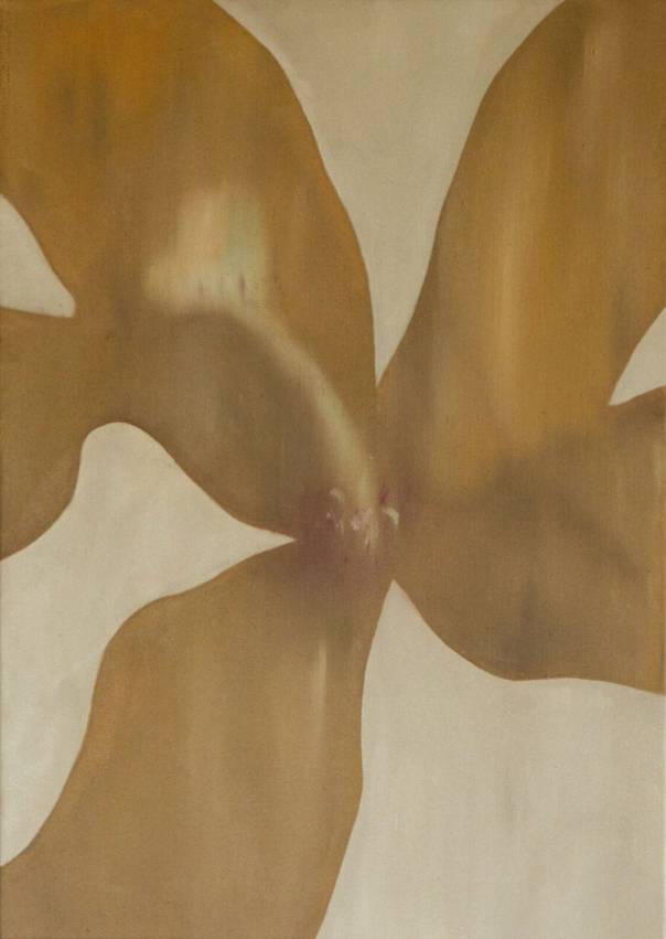 Honey Flower