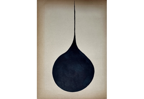 Luna Series 13