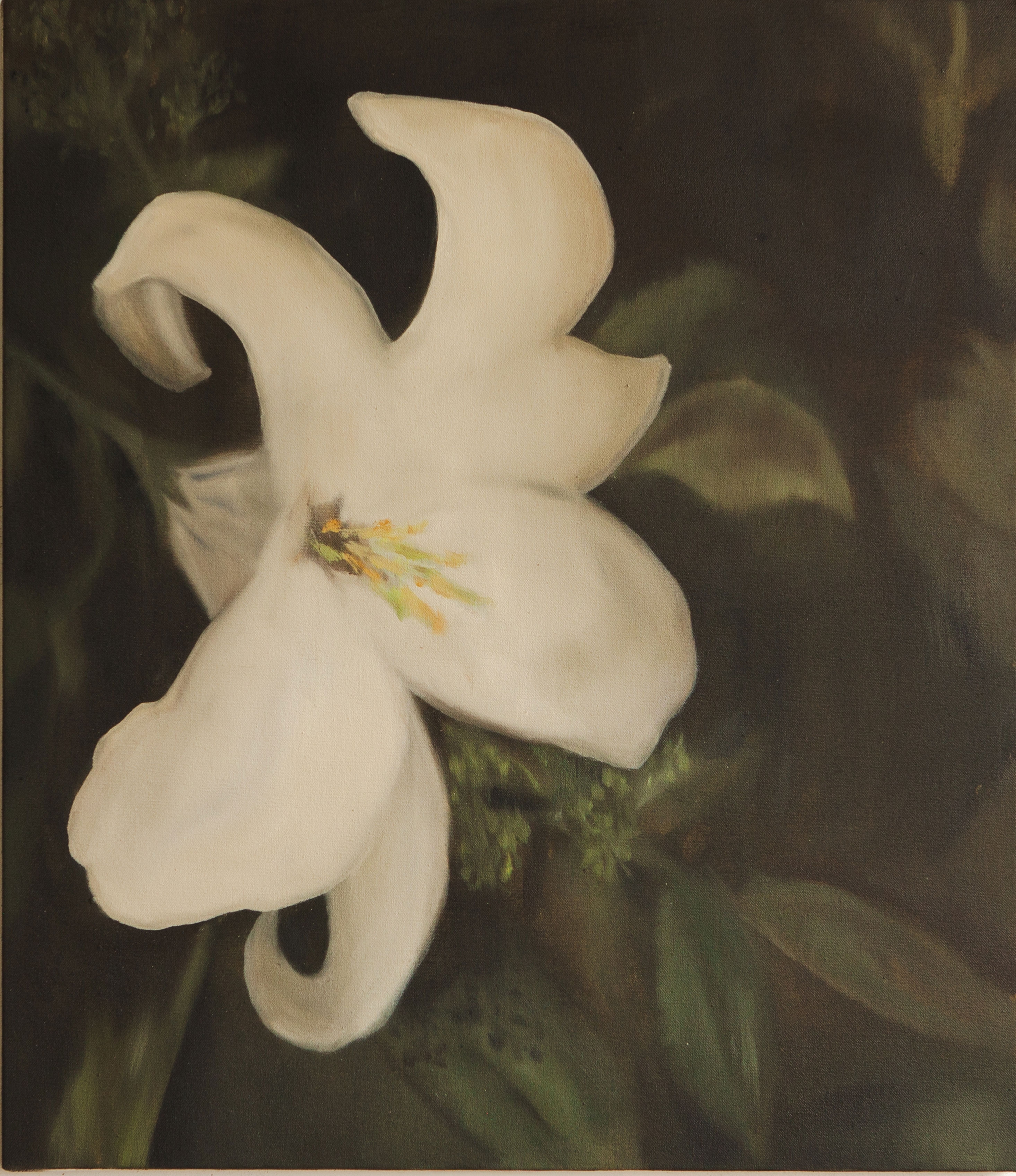 White orchid, a flower of purity