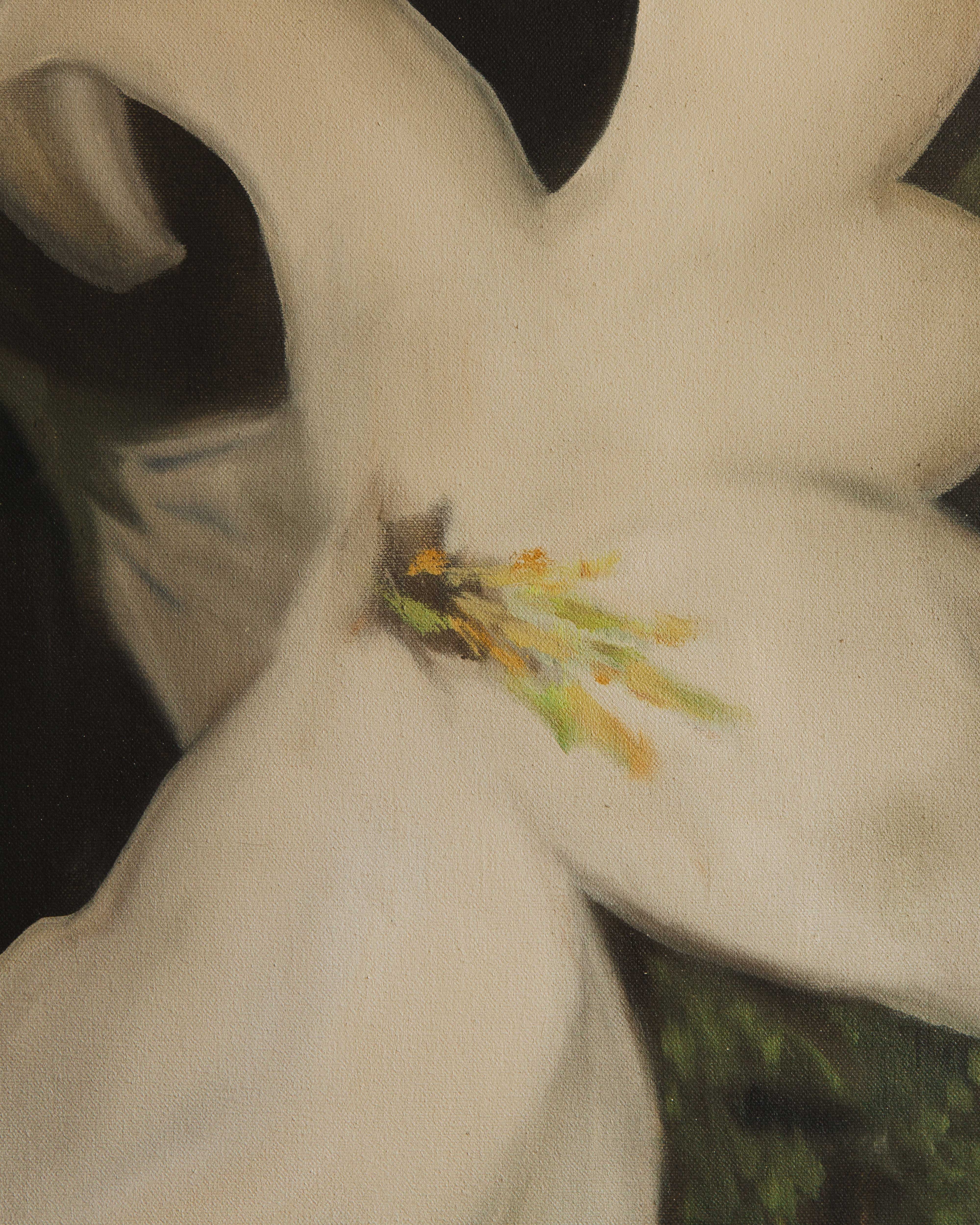 White orchid, a flower of purity