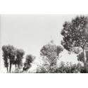 Fragments N°5