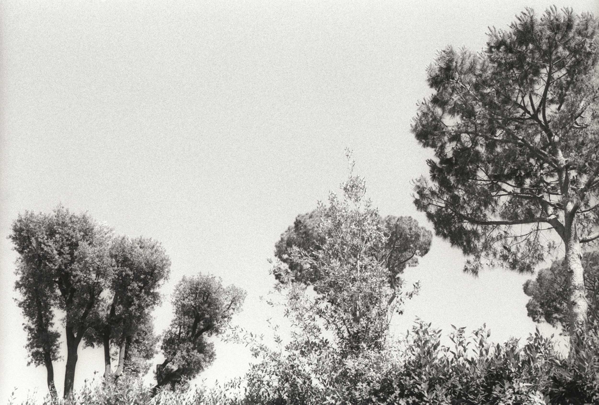 Fragments N°5