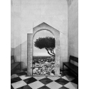 Passage 10