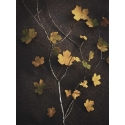 Flore, Feuilles jaunes